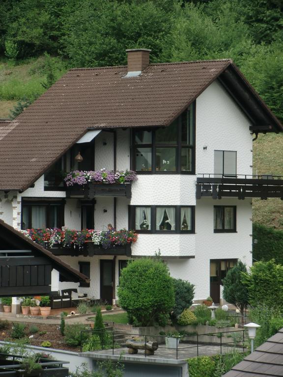 Ferienwohnung Uli Schaetzle Hornberg Luaran gambar