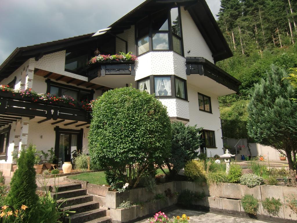 Ferienwohnung Uli Schaetzle Hornberg Luaran gambar