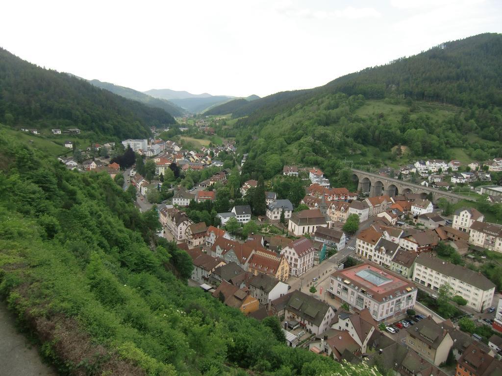 Ferienwohnung Uli Schaetzle Hornberg Luaran gambar