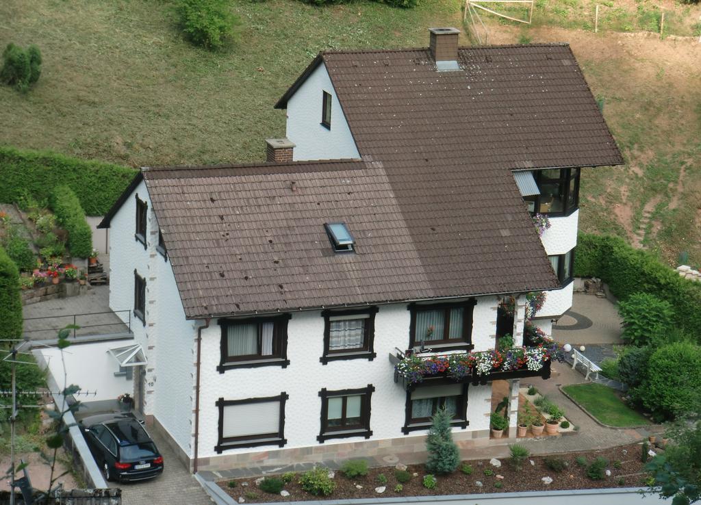Ferienwohnung Uli Schaetzle Hornberg Luaran gambar