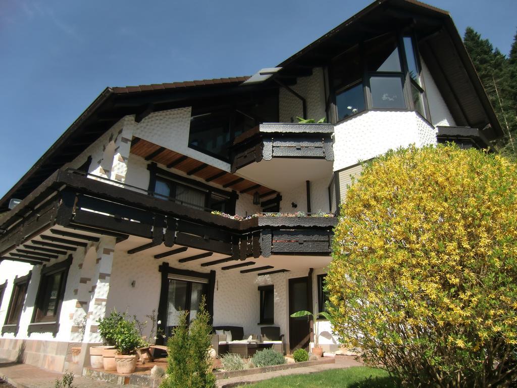 Ferienwohnung Uli Schaetzle Hornberg Luaran gambar